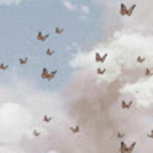 Meet your Posher, Liv - Picture 1 of 1